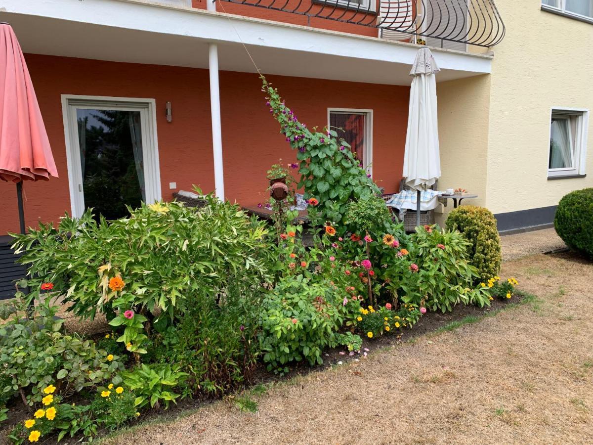 Gruene Oase Lägenhet Kottenheim Exteriör bild